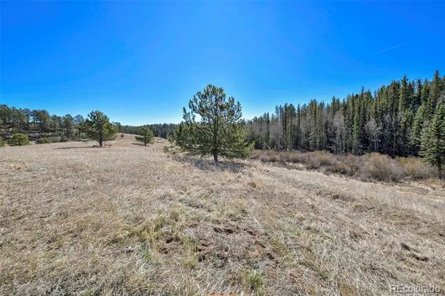 169 Saddleback Creek Drive Florissant, CO 80816