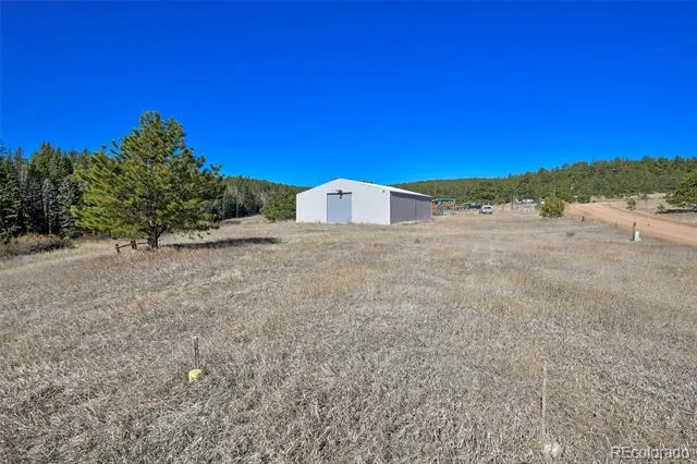 169 Saddleback Creek Drive Florissant, CO 80816