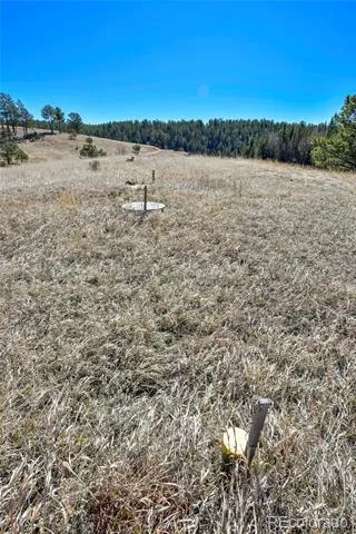 169 Saddleback Creek Drive Florissant, CO 80816