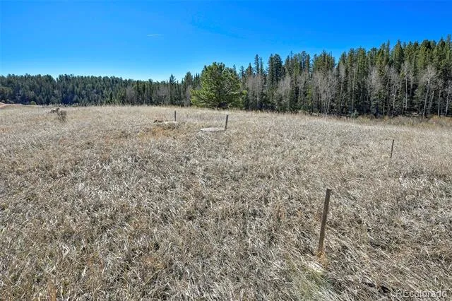 169 Saddleback Creek Drive Florissant, CO 80816