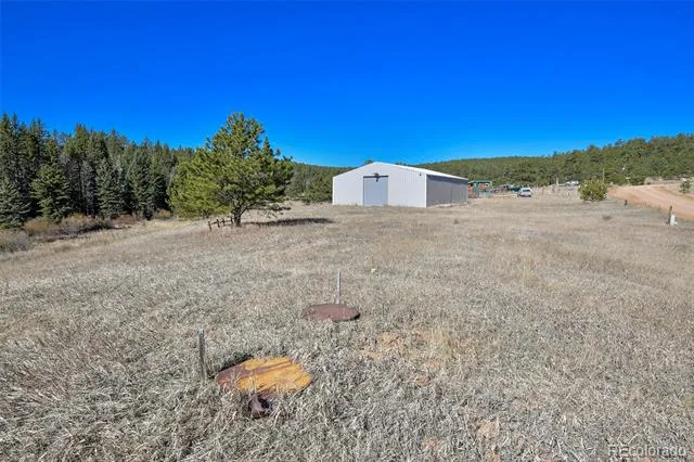 169 Saddleback Creek Drive Florissant, CO 80816