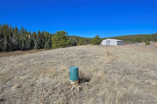 169 Saddleback Creek Drive Florissant, CO 80816