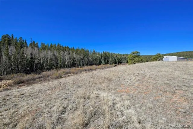 169 Saddleback Creek Drive Florissant, CO 80816