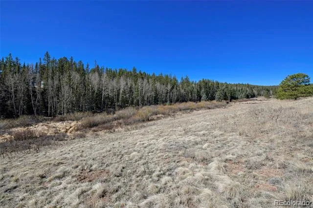 169 Saddleback Creek Drive Florissant, CO 80816
