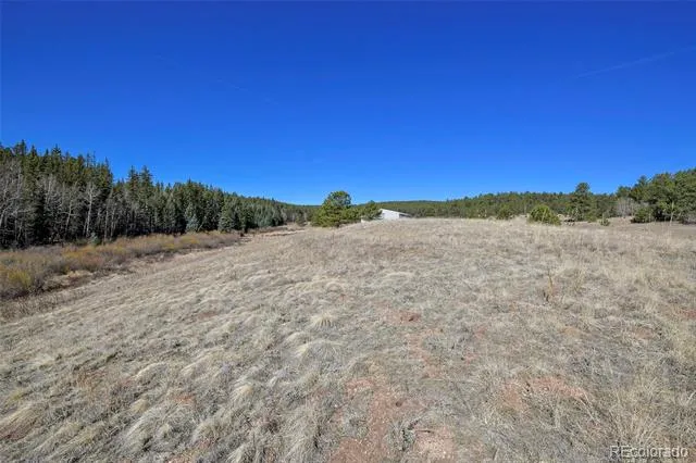 169 Saddleback Creek Drive Florissant, CO 80816