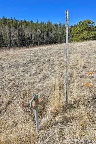 169 Saddleback Creek Drive Florissant, CO 80816