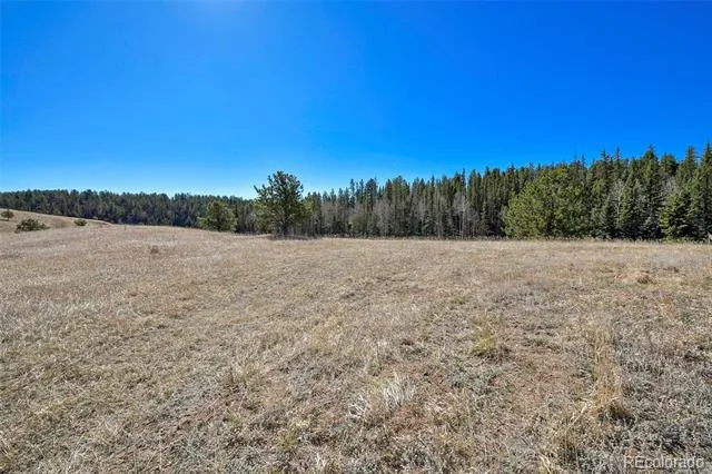 169 Saddleback Creek Drive Florissant, CO 80816