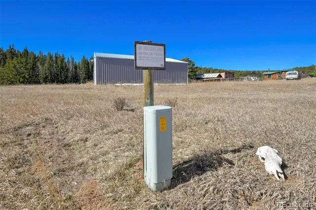 169 Saddleback Creek Drive Florissant, CO 80816