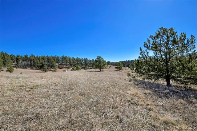 169 Saddleback Creek Drive Florissant, CO 80816