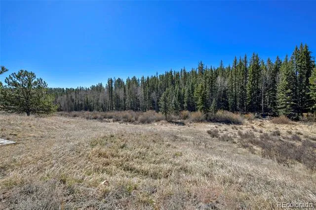 169 Saddleback Creek Drive Florissant, CO 80816
