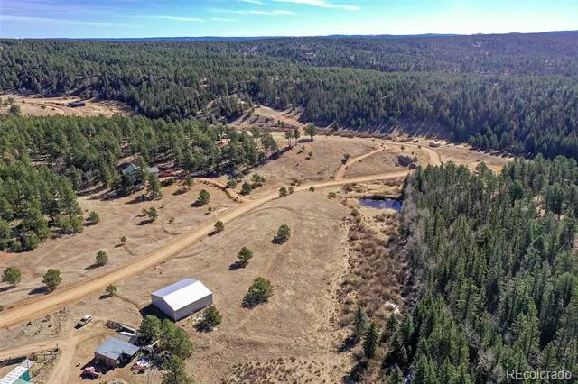 169 Saddleback Creek Drive Florissant, CO 80816