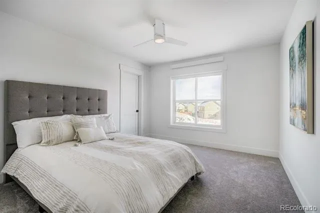 58 Star Rock Drive #A Fairplay, CO 80440