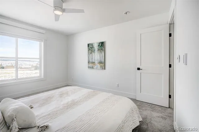58 Star Rock Drive #A Fairplay, CO 80440