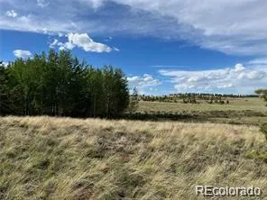 1599 Campfire Road Hartsel, CO 80449