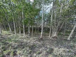 1599 Campfire Road Hartsel, CO 80449