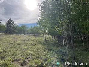 1599 Campfire Road Hartsel, CO 80449