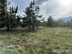1599 Campfire Road Hartsel, CO 80449