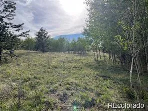 1599 Campfire Road Hartsel, CO 80449