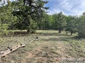 1599 Campfire Road Hartsel, CO 80449