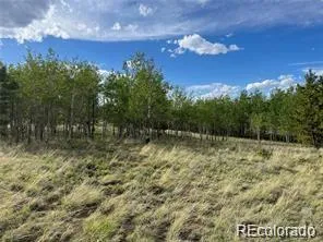 1599 Campfire Road Hartsel, CO 80449