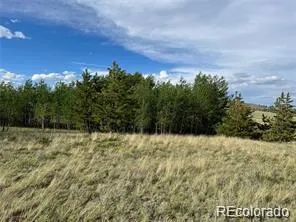 1599 Campfire Road Hartsel, CO 80449