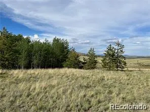 1599 Campfire Road Hartsel, CO 80449
