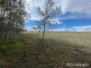 1599 Campfire Road Hartsel, CO 80449