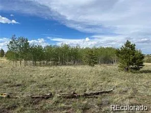 1599 Campfire Road Hartsel, CO 80449