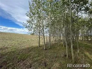1599 Campfire Road Hartsel, CO 80449
