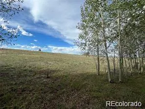 1599 Campfire Road Hartsel, CO 80449