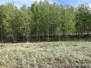 1599 Campfire Road Hartsel, CO 80449
