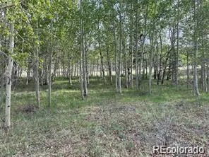 1599 Campfire Road Hartsel, CO 80449