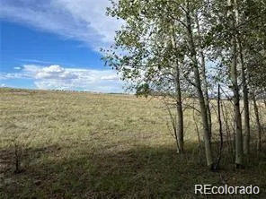 1599 Campfire Road Hartsel, CO 80449