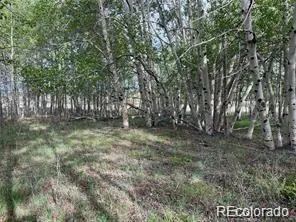 1599 Campfire Road Hartsel, CO 80449