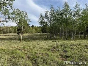 1599 Campfire Road Hartsel, CO 80449