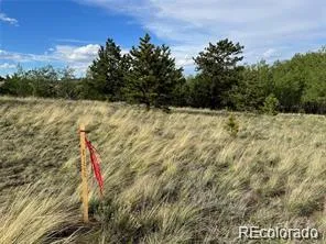 1599 Campfire Road Hartsel, CO 80449