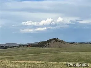 1599 Campfire Road Hartsel, CO 80449