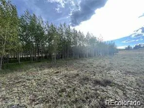 1599 Campfire Road Hartsel, CO 80449