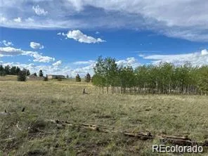 1599 Campfire Road Hartsel, CO 80449