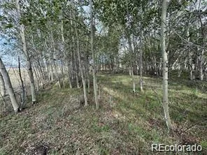 1599 Campfire Road Hartsel, CO 80449