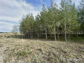 1599 Campfire Road Hartsel, CO 80449