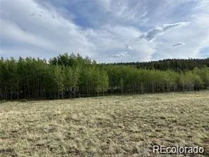 1599 Campfire Road Hartsel, CO 80449