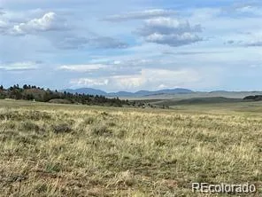 1599 Campfire Road Hartsel, CO 80449