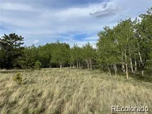 1599 Campfire Road Hartsel, CO 80449