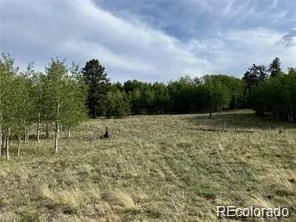 1599 Campfire Road Hartsel, CO 80449