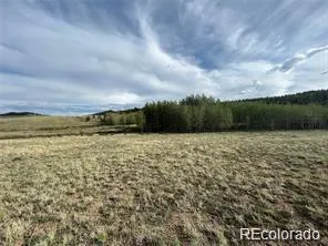 1599 Campfire Road Hartsel, CO 80449