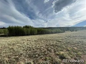 1599 Campfire Road Hartsel, CO 80449