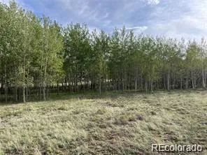 1599 Campfire Road Hartsel, CO 80449
