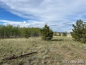 1599 Campfire Road Hartsel, CO 80449