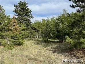 1599 Campfire Road Hartsel, CO 80449